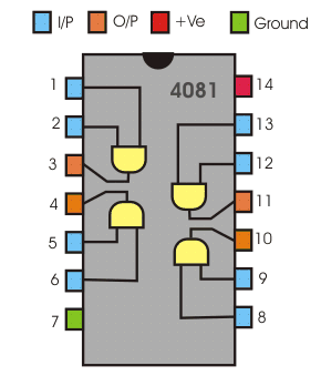 ic 4081